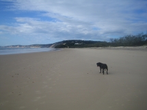 Emmie was another host at Delphi's and says to leave only paw prints on the beach